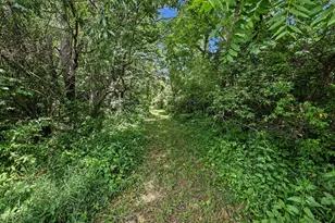 4794 Seymour Rd, Jackson, MI 49201 - Photo 27