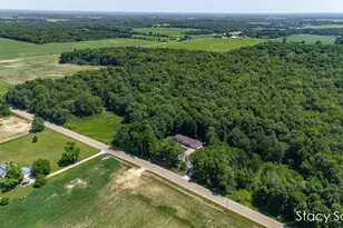 4413 S Lacey Lake Rd, Bellevue, MI 49021 - Photo 55