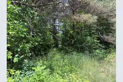 Vl S 210th Avenue, Reed City, MI 49677 - Photo 3