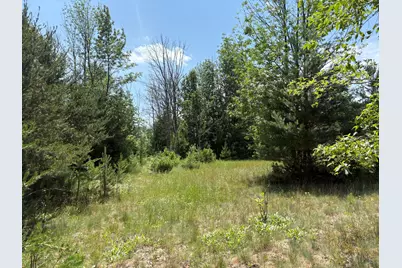 Vl S 210th Avenue, Reed City, MI 49677 - Photo 5