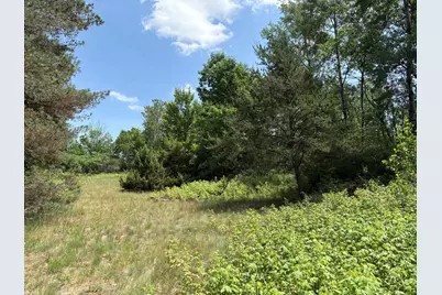 Vl S 210th Avenue, Reed City, MI 49677 - Photo 1
