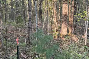 N Woodland Ave, Bitely, MI 49309 - Photo 1