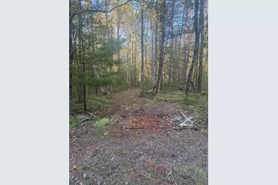 N Woodland Avenue, Bitely, MI 49309 - Photo 5