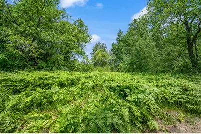Seneca Place, Cadillac, MI 49601 - Photo 19