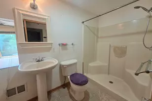 1402 E Deaner Road NE, Edmore, MI 48829 - Photo 15