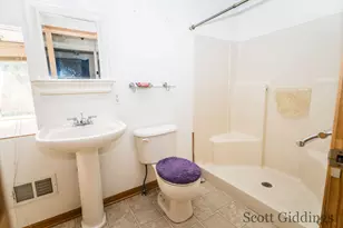 1402 E Deaner Road NE, Edmore, MI 48829 - Photo 47
