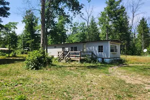 8253 S Washington Ave, Baldwin, MI 49304 - Photo 1