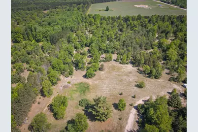 Parcel A Makinen Road, Kaleva, MI 49645 - Photo 7