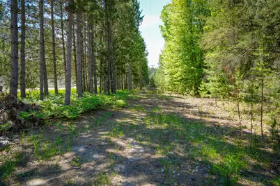 Parcel A Makinen Road, Kaleva, MI 49645 - Photo 21