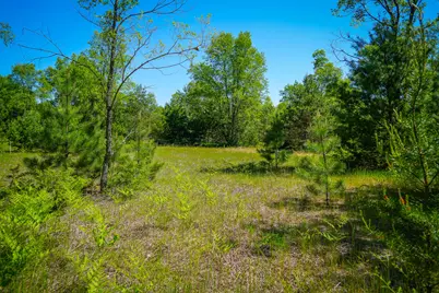 Parcel B Makinen Road, Kaleva, MI 49645 - Photo 23