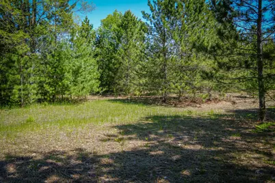 Parcel B Makinen Road, Kaleva, MI 49645 - Photo 33