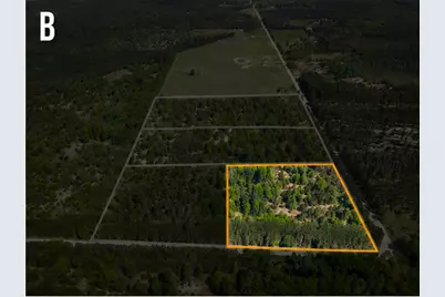 Parcel B Makinen Road, Kaleva, MI 49645 - Photo 1