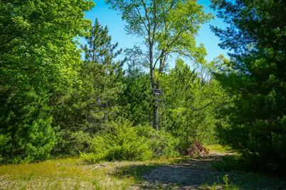 Parcel B Makinen Road, Kaleva, MI 49645 - Photo 25