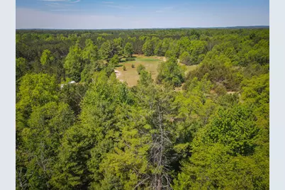 Parcel C Niemi Road, Kaleva, MI 49645 - Photo 9