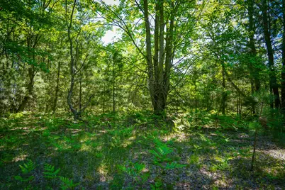 Parcel C Niemi Road, Kaleva, MI 49645 - Photo 21