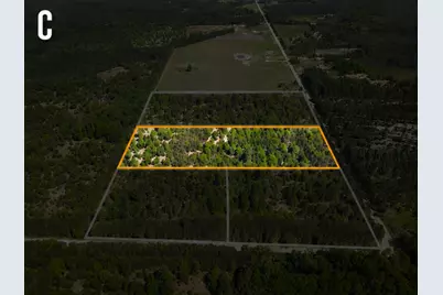 Parcel C Niemi Road, Kaleva, MI 49645 - Photo 1