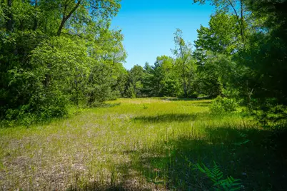 Parcel C Niemi Road, Kaleva, MI 49645 - Photo 19