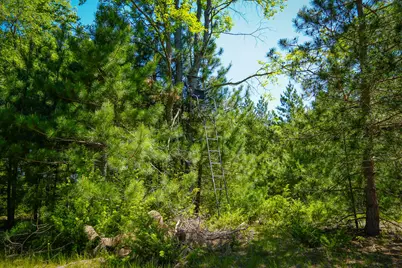 Parcel D Niemi Road, Kaleva, MI 49645 - Photo 23