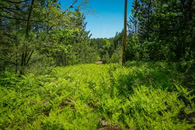 Parcel D Niemi Road, Kaleva, MI 49645 - Photo 27