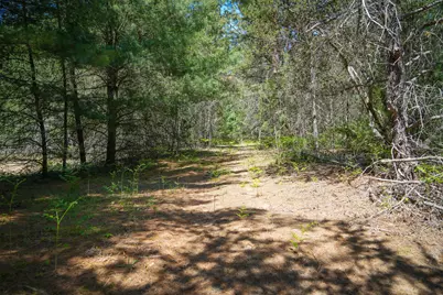 Parcel D Niemi Road, Kaleva, MI 49645 - Photo 15