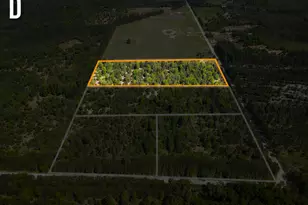 Parcel D Niemi Rd, Kaleva, MI 49645 - Photo 1
