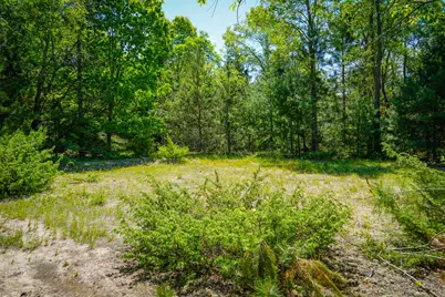 Parcel D Niemi Road, Kaleva, MI 49645 - Photo 13