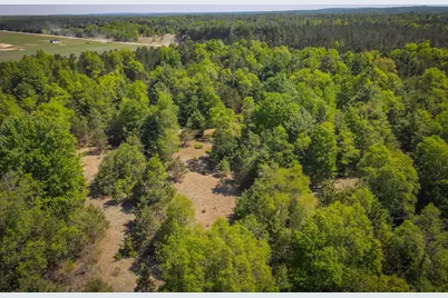 Parcel D Niemi Road, Kaleva, MI 49645 - Photo 9