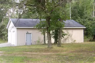 11067 S River Rd, Evart, MI 49631 - Photo 35