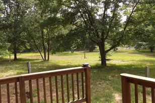 11067 S River Rd, Evart, MI 49631 - Photo 43