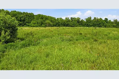 Vl Tamarack Road, Pittsford, MI 49271 - Photo 5