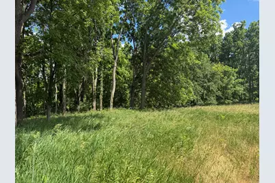 Vl Tamarack Road, Pittsford, MI 49271 - Photo 11