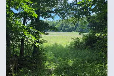 Vl Tamarack Road, Pittsford, MI 49271 - Photo 9