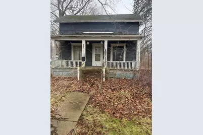 331 S Main Street, Bellevue, MI 49021 - Photo 1