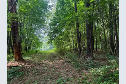 Vl Whitetail Ridge #29, Dowagiac, MI 49047 - Photo 13