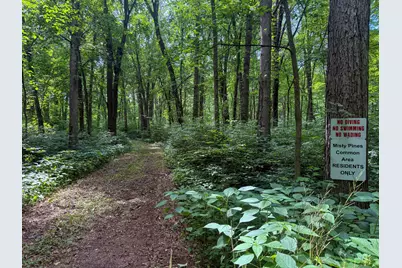 Vl Whitetail Ridge #29, Dowagiac, MI 49047 - Photo 7