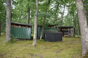 2194 W Jab Dr, Baldwin, MI 49304 - Photo 9