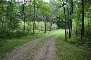 2194 W Jab Dr, Baldwin, MI 49304 - Photo 15