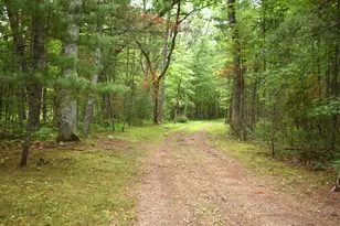 2194 W Jab Dr, Baldwin, MI 49304 - Photo 13