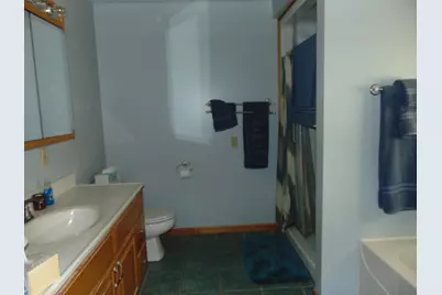 1595 S Poor Farm Road, Mikado, MI 48745 - Photo 47