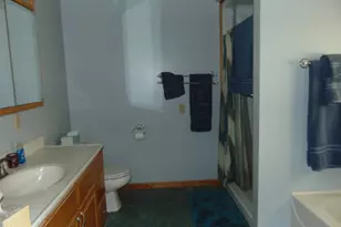 1595 S Poor Farm Rd, Mikado, MI 48745 - Photo 47