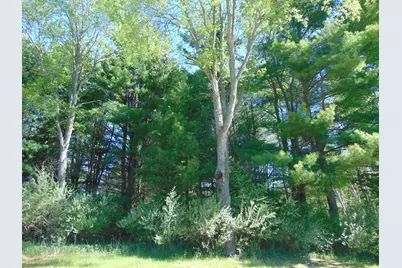 1595 S Poor Farm Road, Mikado, MI 48745 - Photo 29