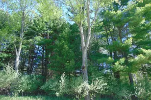 1595 S Poor Farm Rd, Mikado, MI 48745 - Photo 29