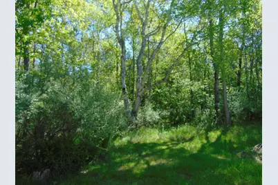 1595 S Poor Farm Road, Mikado, MI 48745 - Photo 21