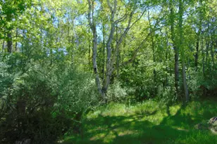 1595 S Poor Farm Rd, Mikado, MI 48745 - Photo 21