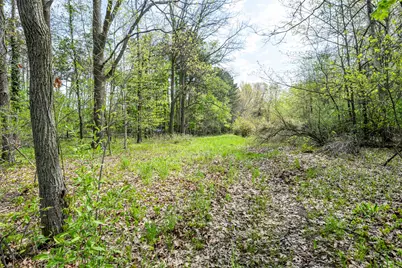 0A Linke Rd Road, Bridgman, MI 49106 - Photo 19