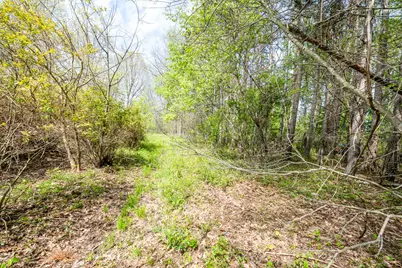 0A Linke Rd Road, Bridgman, MI 49106 - Photo 15