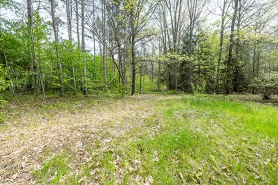 0A Linke Rd Road, Bridgman, MI 49106 - Photo 9