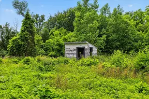 2429 W Huron Line Rd, Ubly, MI 48475 - Photo 29
