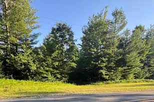 V/L E 8 Mile Rd, Luther, MI 49656 - Photo 1