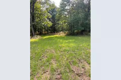 V/L E 8 Mile Road, Luther, MI 49656 - Photo 3